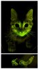 glowingcat.jpg