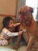 8730110-R3L8T8D-650-7172010-R3L8T8D-650-cute-big-dogs-and-babies-17.jpg