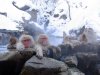 Jigokudani_hotspring_in_Nagano_Japan_001.jpg