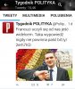 polityka widelec2.jpg