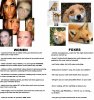foxes vs women.jpg