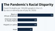 pandemic racial disparity.jpg