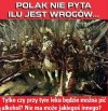 polak nie pyta.jpg